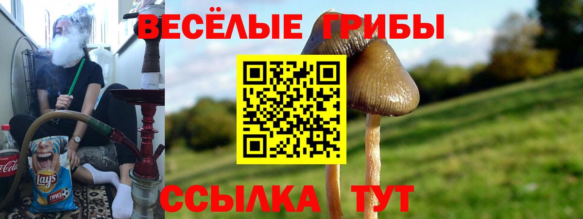 Галлюциногенные грибы Magic Shrooms  Вход с VPN  Артёмовский 