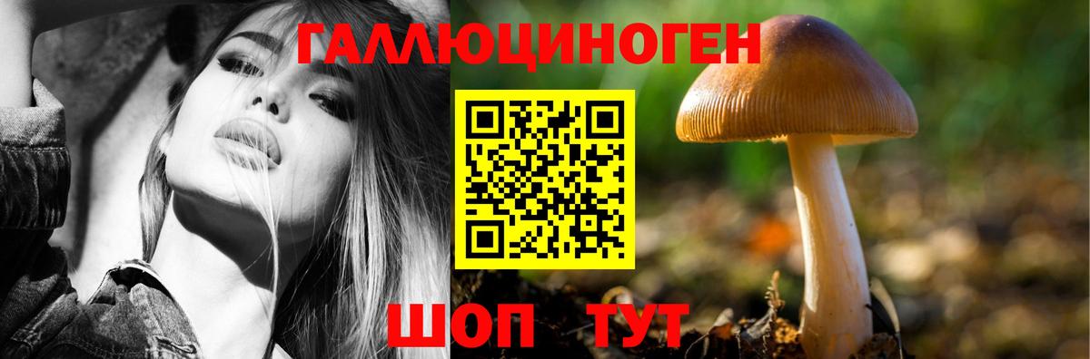 Галлюциногенные грибы прущие грибы Артёмовский
